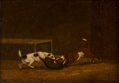 Two Terriers Badger Baiting by Henry Thomas (follower of) Alken