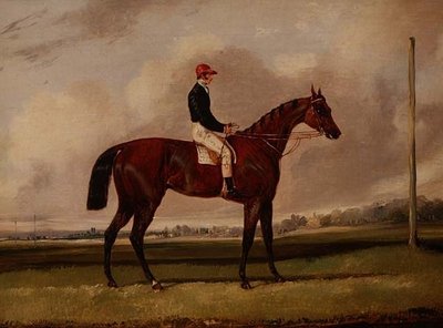 Bay Racehorse with a Jockey on a Racecourse by Henry Thomas Alken