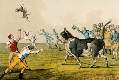 Bull Baiting, pub. by Thomas McLean, 1820 by Henry Thomas Alken