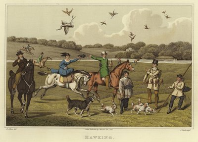 Hawking by Henry Thomas Alken