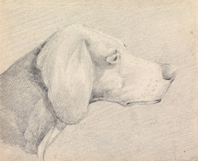 Head of a Foxhound, in Profile Right by Henry Thomas Alken