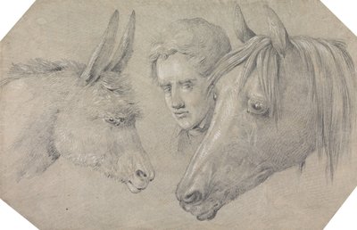 Head of a Stable Lad, Looking Between the Heads of a Horse and a Donkey by Henry Thomas Alken