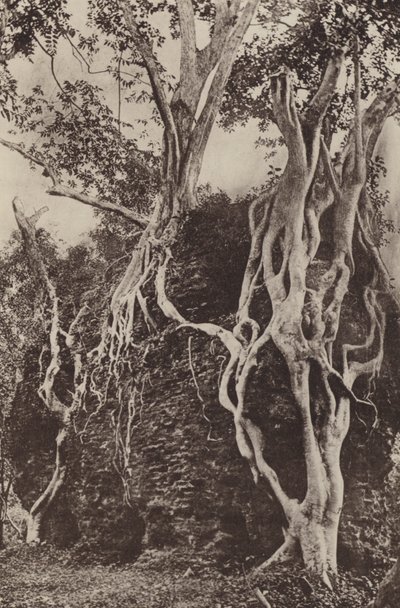 Ruined Cities of Ceylon: Kotuwa by Henry W. Cave