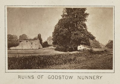 Ruins of Godstow Nunnery by Henry W. Taunt
