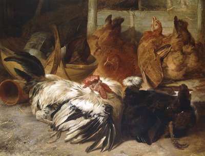 A Silver-Grey Rosecomb Cock and a White-Crested Black Poland with Two Buff Hens by Henry Weekes