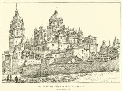The Old and New Cathedrals, Salamanca by Henry William Brewer