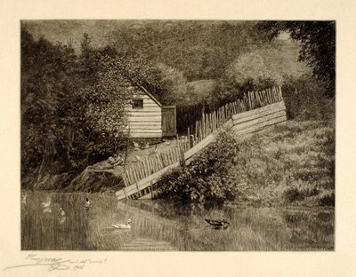 A Duck Pond by Henry Wolf
