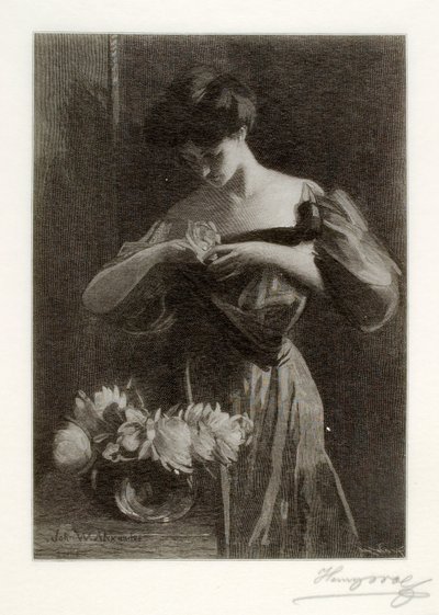 A Flower by Henry Wolf