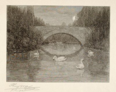 Evening, Swan Lake, Central Park, New York by Henry Wolf