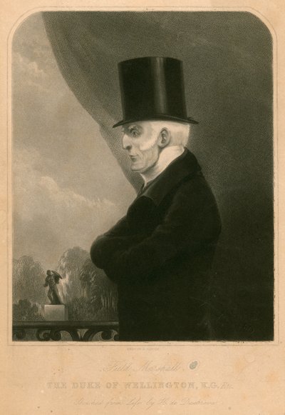 The Duke of Wellington by Henry de Daubrava