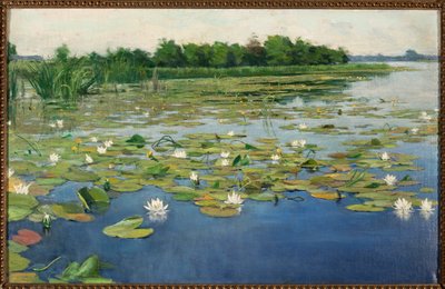 Water Lilies by Henryk Weyssenhoff