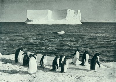 A Berg Drifting in McMurdo Sound by Herbert Ponting