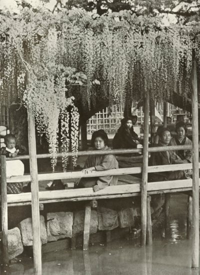 A Wisteria Arbour at Kameido by Herbert Ponting