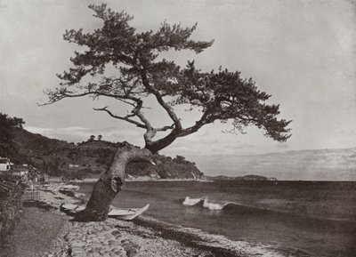 Atami by Herbert Ponting