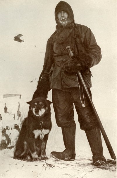 C. H. Meares and Osman, The Leader of the Dogs, 28 August 1911 by Herbert Ponting