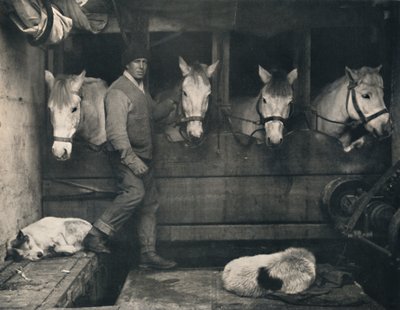 Captain Oates on the Terra Nova with the Siberian Ponies by Herbert Ponting