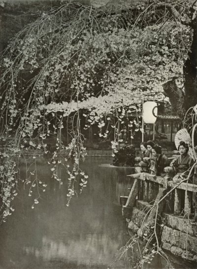 Cherry-Blossom Time in Japan, 1910 by Herbert Ponting