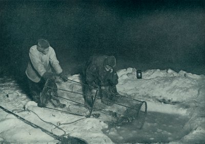 Dr. Atkinson and Clissold Hauling Up The Fish-Trap, 28 May 1911 by Herbert Ponting