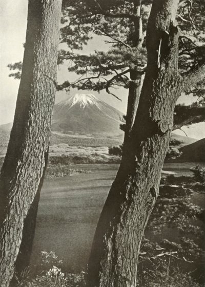 Fuji Through the Pines of Lake Motosu by Herbert Ponting