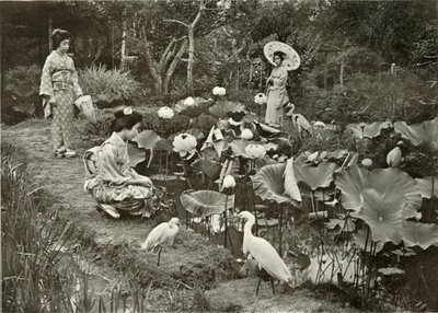 In Lotus-Land, 1910 by Herbert Ponting