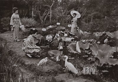 In a Lotus Garden by Herbert Ponting