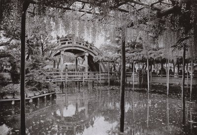 Kameido by Herbert Ponting