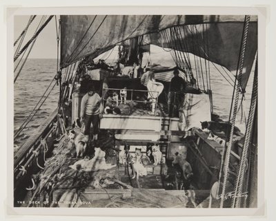 The Deck of the Terra Nova by Herbert Ponting