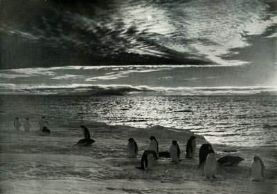 The Midnight Sun in McMurdo Sound by Herbert Ponting