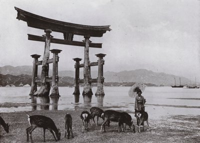 The Old Torii at Miyajima by Herbert Ponting