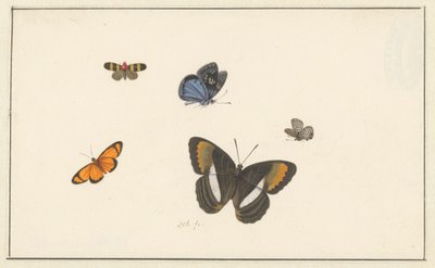 Five Butterflies by Herman Henstenburgh