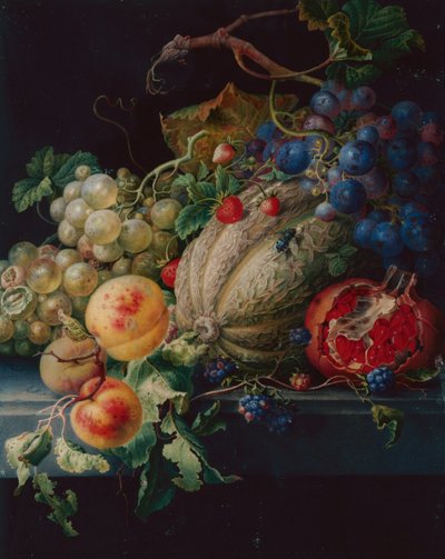 Fruit Still Life on a Stone Ledge by Herman Henstenburgh