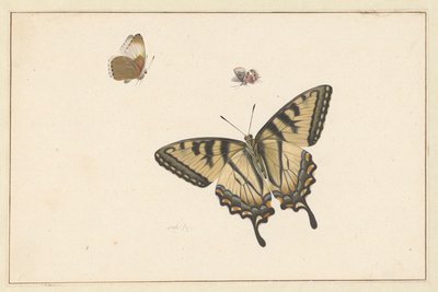 Three Butterflies by Herman Henstenburgh