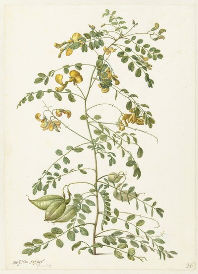 Blazenstruik and Pekanjers by Herman Saftleven