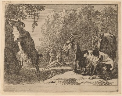 Goats by Herman van Swanevelt