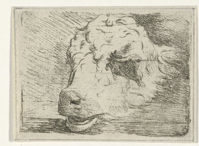 Head of a Calf Resting on a Beam by Hermanus Fock
