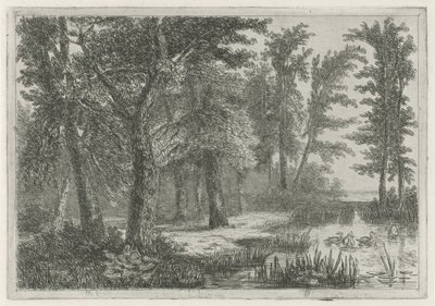 Forest Scene with a Pond with Ducks by Hermanus Jan Hendrik van Rijkelijkhuysen