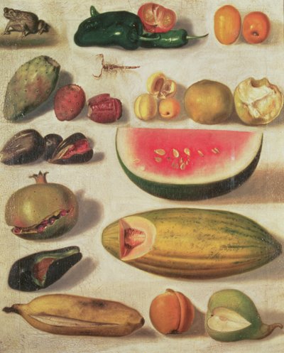 Still Life with Fruit and Toad by Hermenegildo Bustos
