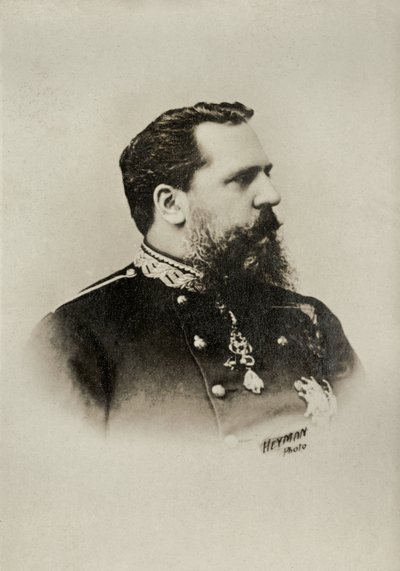 Portrait of Don Carlos Prince of Bourbon by Heyman