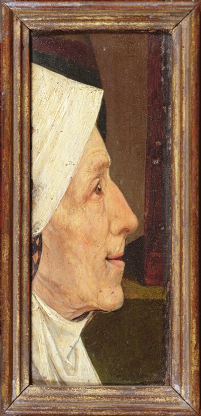 Head of an Old Woman by Hieronymus Bosch