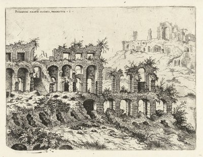 View of the Colosseum and the Palatine by Hieronymus Cock