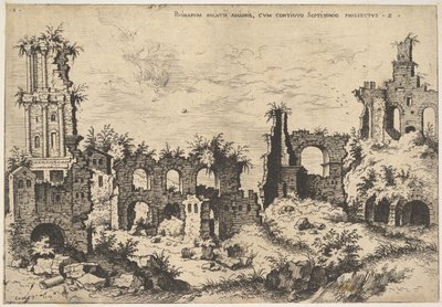 View of ruins on the Palatine Hill with trabeated facade at left and arcades at center by Hieronymus Cock