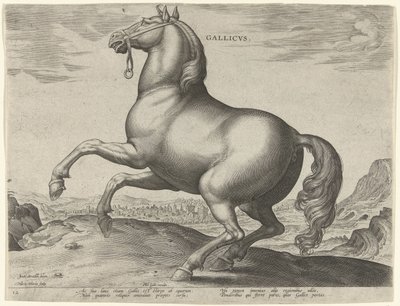 Horse from France by Hieronymus Wierix