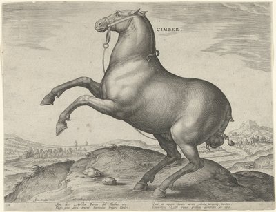 Horse from Scythia by Hieronymus Wierix