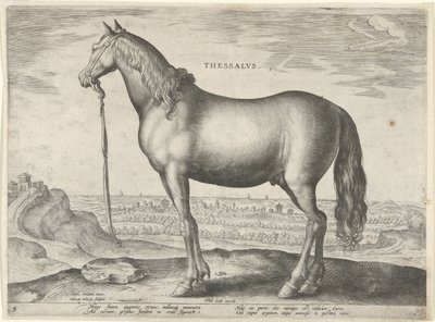 Horse from Thessaly by Hieronymus Wierix