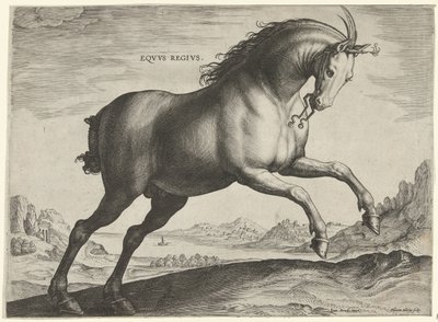 Horse of the Equus Regius Breed by Hieronymus Wierix