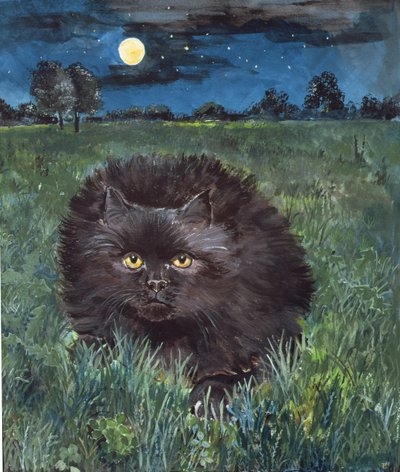 The Cat and the Moon by Hilary Jones