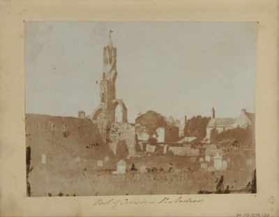 The West End of St. Andrews and the Cathedral Precinct from the Northeast by Hill and Adamson Adamson