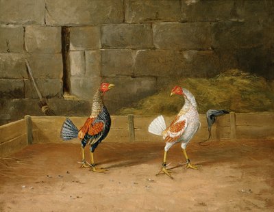 The Challenge by Hilton L. Jnr. Pratt