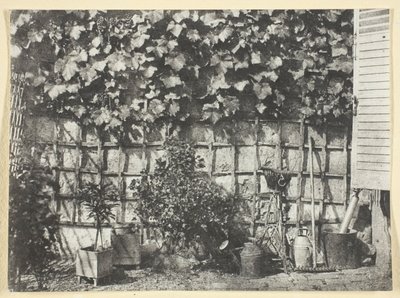 The Trellis by Hippolyte Bayard