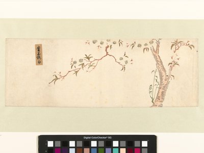 Blooming Cherry Tree by Hiroshige (I) , Utagawa (attributed to)